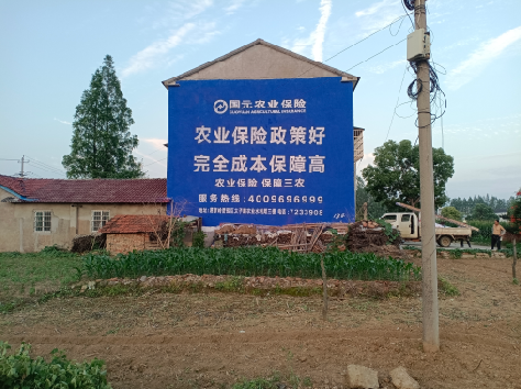 都江堰墙体广告的优劣势你知道吗？